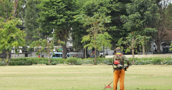 A worker cutting grass in a park, showcasing professional lawn care with greenery in the background. a man cutting the grass using a lawn mower