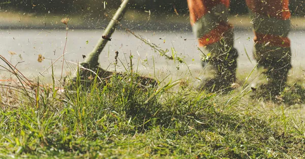 A person using a lawn mower to trim grass in a sunny garden. person using lawn mower